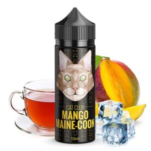 Cat Club Mango Maine-Coon