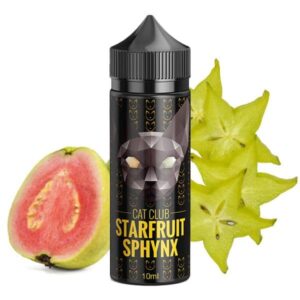 Cat Club Starfruit Sphynx
