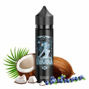 snowowl-fly-high-edition-ms-coco-blueberry-10ml-aroma-longfill-steuerware